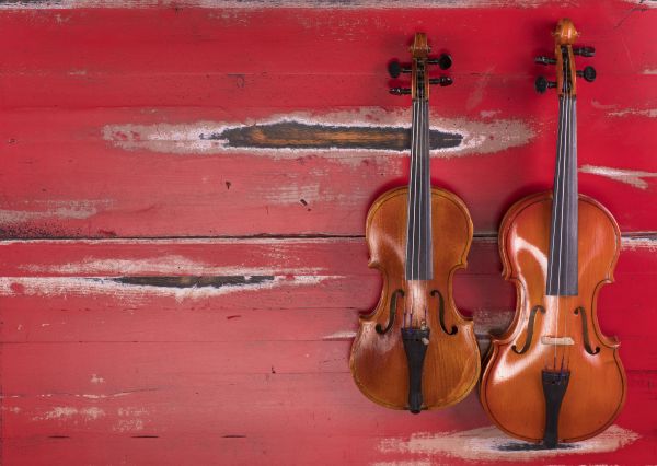 Young Talents & Saitenspiel-Orchester